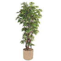 Tall Artificial Plant hire